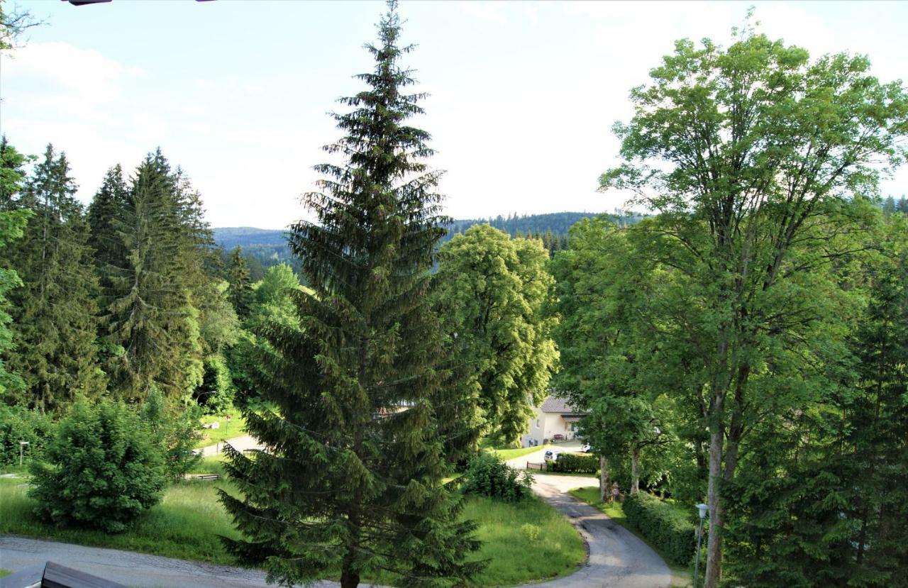 Penzion Sumavacek Bayerisch Eisenstein Dış mekan fotoğraf